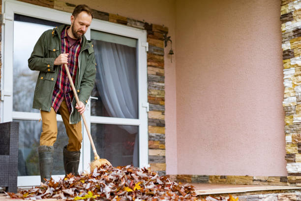 Best Yard Cleanup Services  in Ackerman, MS